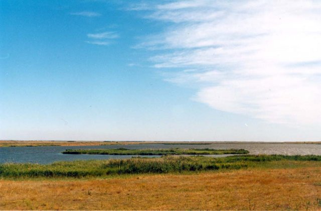 Озеро Маныч-Гудило